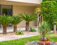 Unit for rent at 477 Desert Lakes Drive, CA, 92264