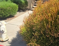 Unit for rent at 1365 Crafton Avenue, MENTONE, CA, 92359
