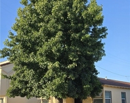 Unit for rent at 5724 California, LONG BEACH, CA, 90805