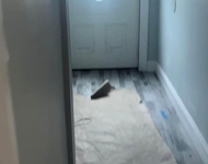 Unit for rent at 130-13 109th Avenue, South Ozone Park, NY 11420