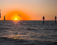 Unit for rent at 880 Mandalay Avenue, CLEARWATER BEACH, FL, 33767