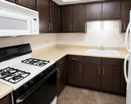 Unit for rent at 6360 Washington Street, Chicago Ridge, IL, 60415
