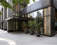 Unit for rent at 311 W Illinois Street, Chicago, IL, 60654