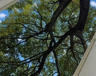 Unit for rent at 4122 Travis Street, Dallas, TX, 75204