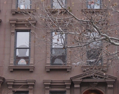 121 Lefferts Place - Photo Thumbnail 0