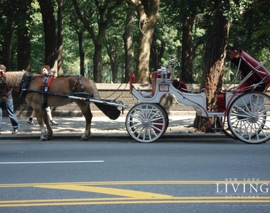 East 59th Street - Photo Thumbnail 2