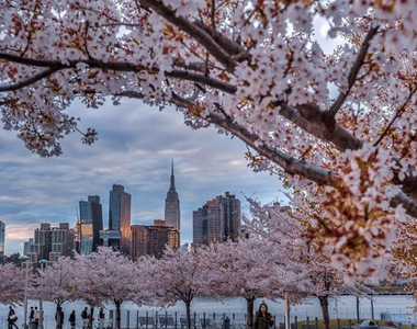  Hunters Point, Long Island City, Northwestern Queens, - Photo Thumbnail 10