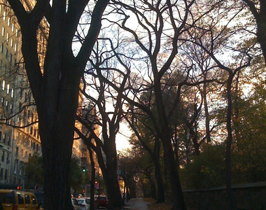 East 79th St - Photo Thumbnail 5