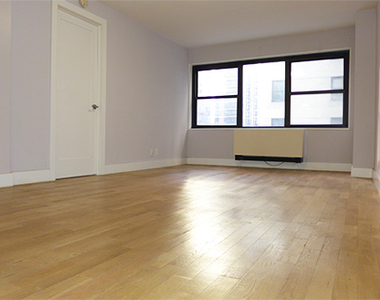 301 E 47th St #4J - Photo Thumbnail 3