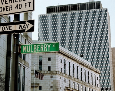 24 Mulberry Street - Photo Thumbnail 7