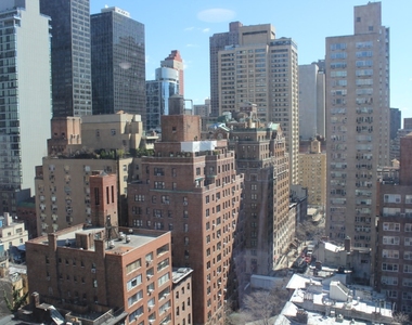 Park Avenue - Photo Thumbnail 4