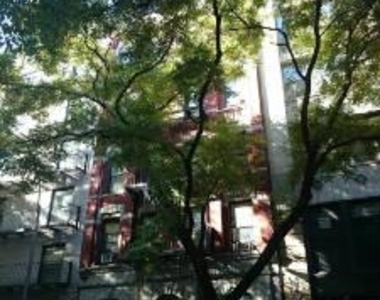 11 Jones Street - Photo Thumbnail 6