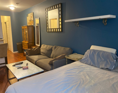 524 West 50th Street - Photo Thumbnail 10