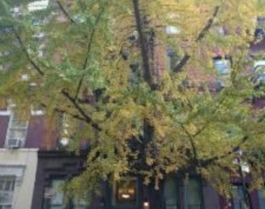 West 10th Street - Photo Thumbnail 3