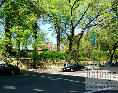 East 86th Street - Photo Thumbnail 15