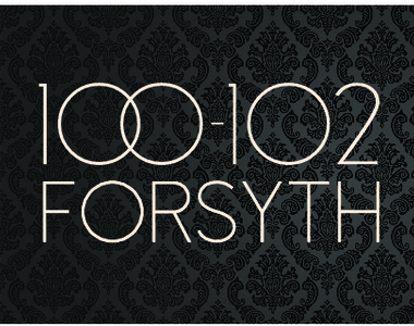 102 Forsyth Street - Photo Thumbnail 6