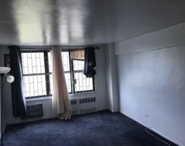 1199 E. 53rd Street Apt. 4g - Photo Thumbnail 2