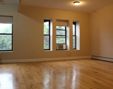 688 Greene Ave, Brooklyn, Ny 11221 - Photo Thumbnail 1