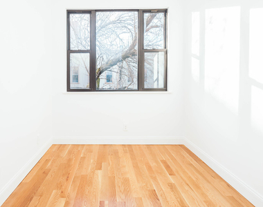 18-22 Linden Street - Photo Thumbnail 7