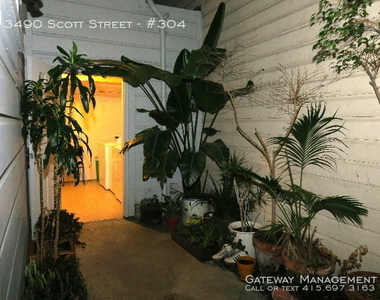 3490 Scott Street - Photo Thumbnail 8