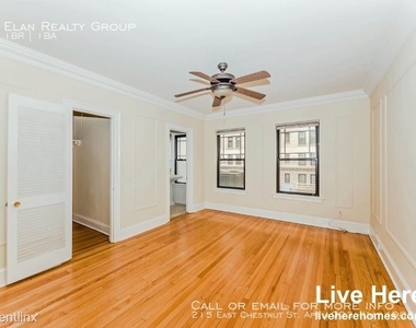 215 East Chestnut St. Apt 1903 - Photo Thumbnail 69