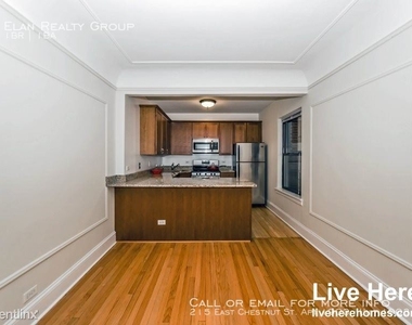 215 East Chestnut St. Apt 1903 - Photo Thumbnail 27