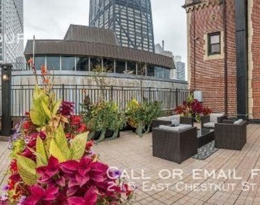 215 East Chestnut St. Apt 1903 - Photo Thumbnail 118