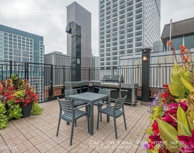 215 East Chestnut St. Apt 1903 - Photo Thumbnail 102