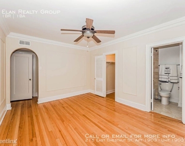 215 East Chestnut St. Apt 1903 - Photo Thumbnail 72