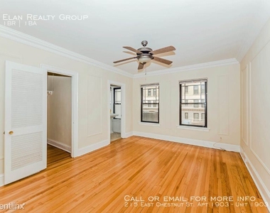 215 East Chestnut St. Apt 1903 - Photo Thumbnail 67