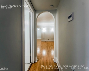 215 East Chestnut St. Apt 1903 - Photo Thumbnail 88