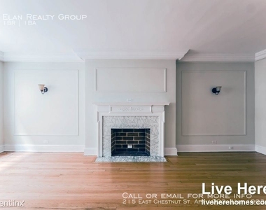 215 East Chestnut St. Apt 1903 - Photo Thumbnail 13