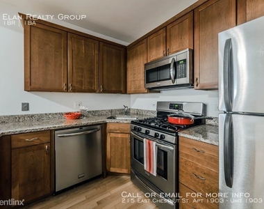 215 East Chestnut St. Apt 1903 - Photo Thumbnail 63