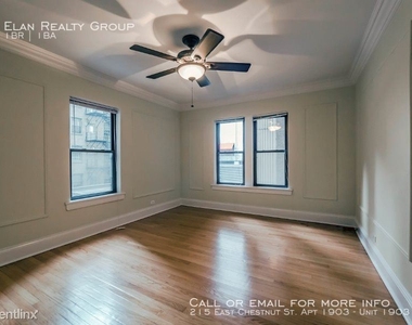 215 East Chestnut St. Apt 1903 - Photo Thumbnail 85