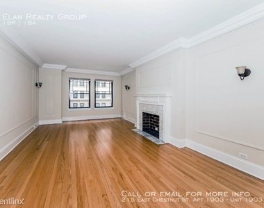 215 East Chestnut St. Apt 1903 - Photo Thumbnail 59