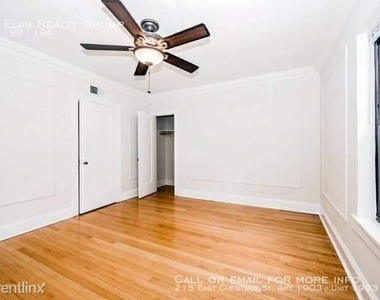 215 East Chestnut St. Apt 1903 - Photo Thumbnail 16