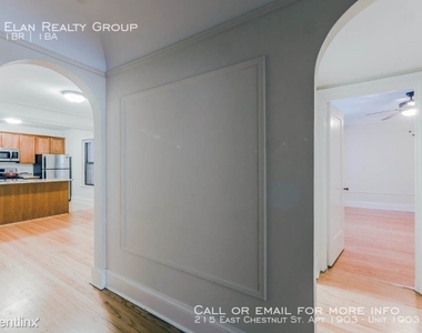 215 East Chestnut St. Apt 1903 - Photo Thumbnail 45