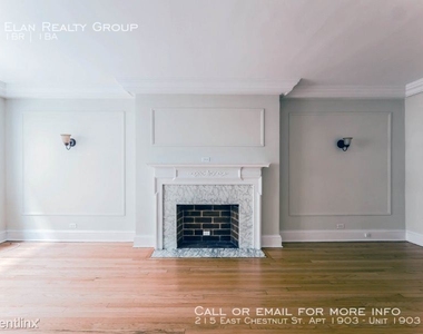 215 East Chestnut St. Apt 1903 - Photo Thumbnail 7