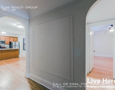 215 East Chestnut St. Apt 1903 - Photo Thumbnail 48