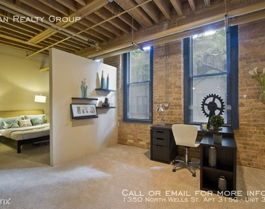 1350 North Wells St. Apt 315g - Photo Thumbnail 67