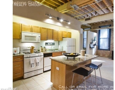 1350 North Wells St. Apt 315g - Photo Thumbnail 144