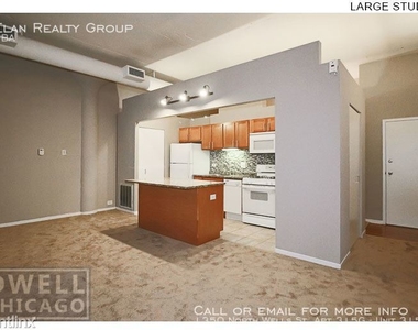 1350 North Wells St. Apt 315g - Photo Thumbnail 125