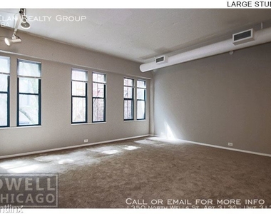 1350 North Wells St. Apt 313g - Photo Thumbnail 125