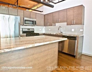 445 E Illinois St. Apt 2604 - Photo Thumbnail 29