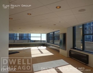 400 North Mcclurg Ct. Apt 1003 - Photo Thumbnail 31