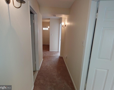 941 S Rolfe St #1 - Photo Thumbnail 65