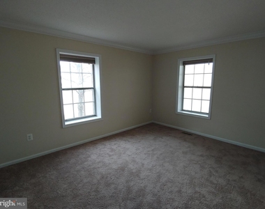 941 S Rolfe St #1 - Photo Thumbnail 49