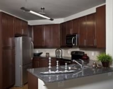 701 Arch Adams St Apt 1088-2 - Photo Thumbnail 10