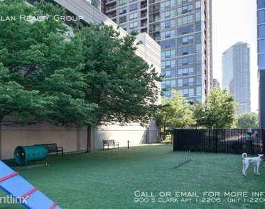 900 S Clark Apt 1-2206 - Photo Thumbnail 49