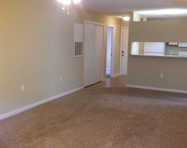 1441 Collegiate Cir Apt 103 - Photo Thumbnail 4